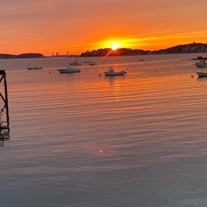 Meet your Posher, Elissa